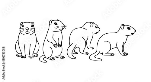 Cute prairie dogs in linear style: front and side views
