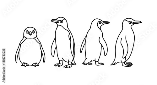 Black and white penguin silhouettes in side and front view