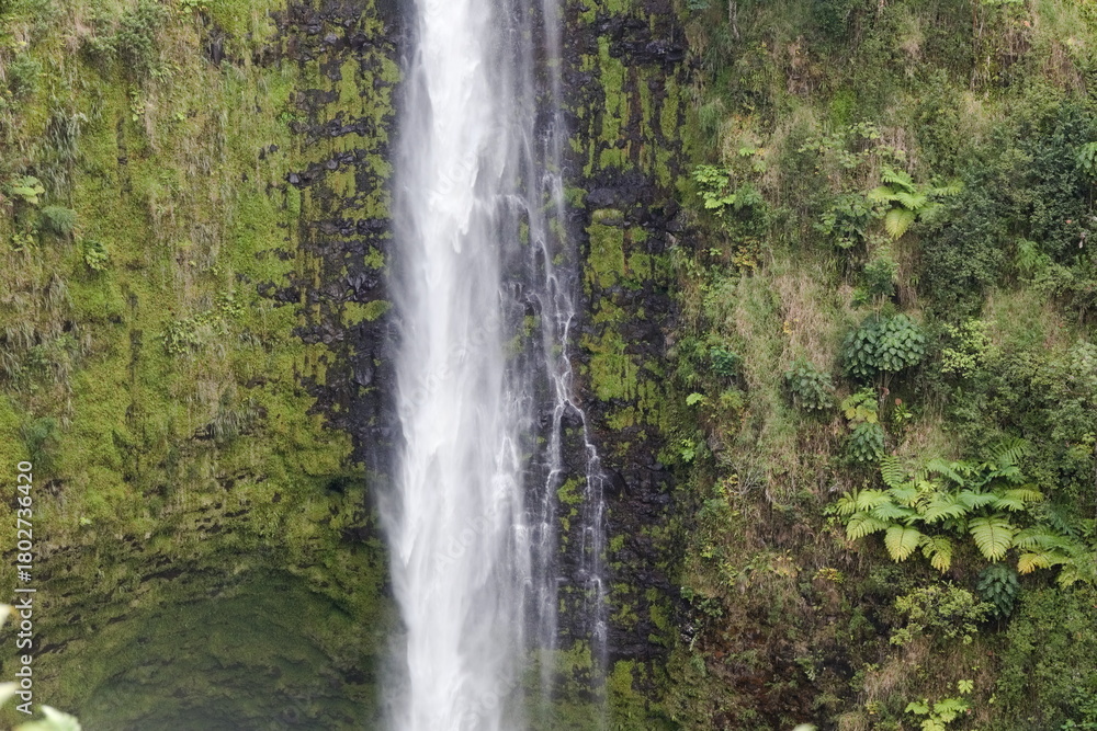 Fototapeta premium Green Foliage Growing Around Tropical Waterfall