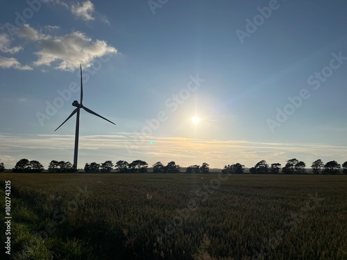 wind turbine in the field
