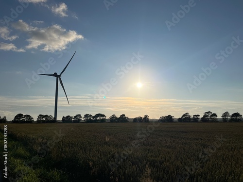 wind turbine in the field