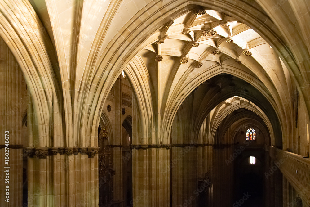 Naklejka premium Salamanca cathedral nave at night