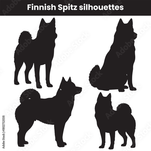 Finnish Spitz silhouettes