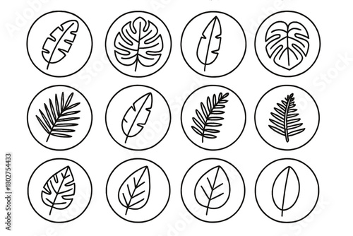 Tropical Leaf Icons. Line style icons of tropical leaves in round shape: banana leaf, monstera leaf, coconut leaf, philodendron