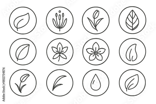 Lily Floral Icons. Line style icons of lily details in round shape: lily petal, stamen close-up, floral stem, leaf texture; curled
