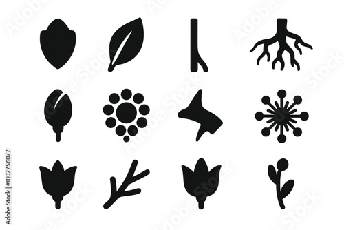 Plant Icon Set. Solid style icons of Plant parts: petal, leaf, stem, root, bud, flower center, thorn, pollen, sepal, branch, calyx