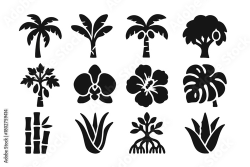 Tropical Flora Icons. Solid style icons of Tropical flora: palm tree, banana plant, coconut tree, mango tree, papaya plant, orchid