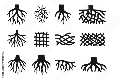 Root Network Icons. Solid style icons of Root Networks: branching system, fibrous roots, taproot, lateral root, spreading mat,