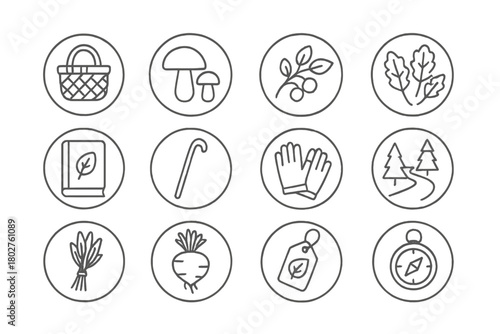 Foraging Essentials Icons. Line style circular vector icons of Foraging: Basket, Mushrooms, Wild Berries, Edible Leaves; Guidebook