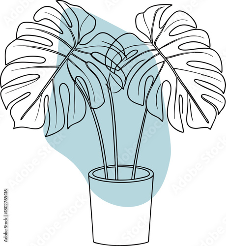 Monstera Plant Line Art, Tropical Foliage Illustration, Indoor Gardening