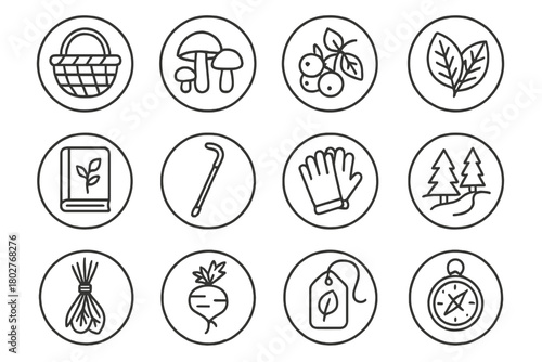 Foraging Essentials Icons. Line style circular vector icons of Foraging: Basket, Mushrooms, Wild Berries, Edible Leaves; Guidebook
