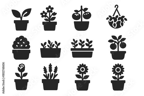 Outdoor Plant Icons. Solid style icons of Outdoor Plants: garden pot, flowering plant, tomato pot, herb planter, hanging basket,