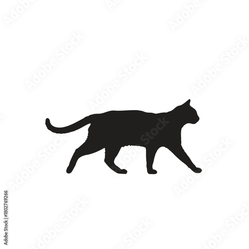 A black silhouette of a cat walking on a white background with its tail slightly raised in the air