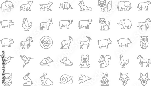 Collection of hand drawn outline illustrations of various farm animals and wildlife in a grid layout