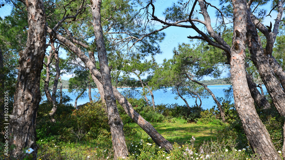Fototapeta premium A view from the bays of Ayvalik and Cunda Island, Turkey's tourist attractions