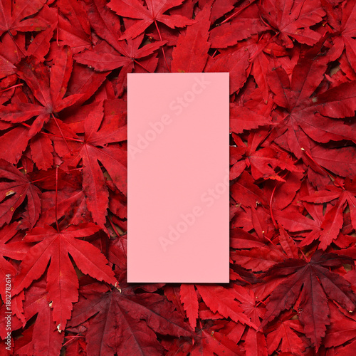 Autumnal background with red leaves
