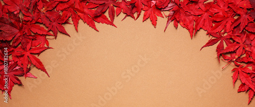 Autumnal frame of red leaves