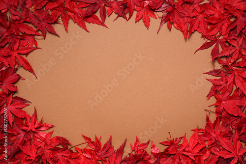 Autumnal frame of red leaves