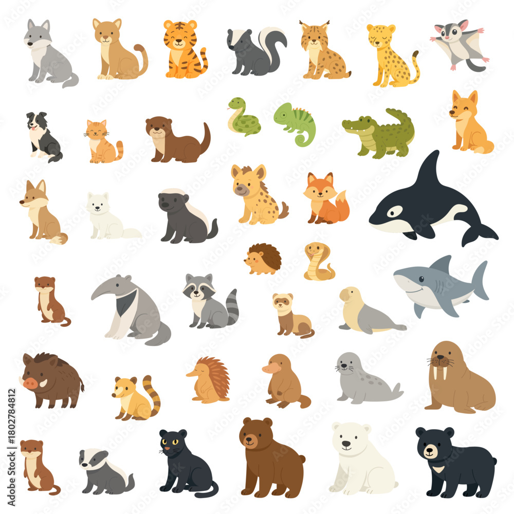 Fototapeta premium Cute predator animal set featuring tigers, wolf, puma and bears, predator animal set illustration perfect for kids learning, posters, stickers, toys and educational wildlife designs.
