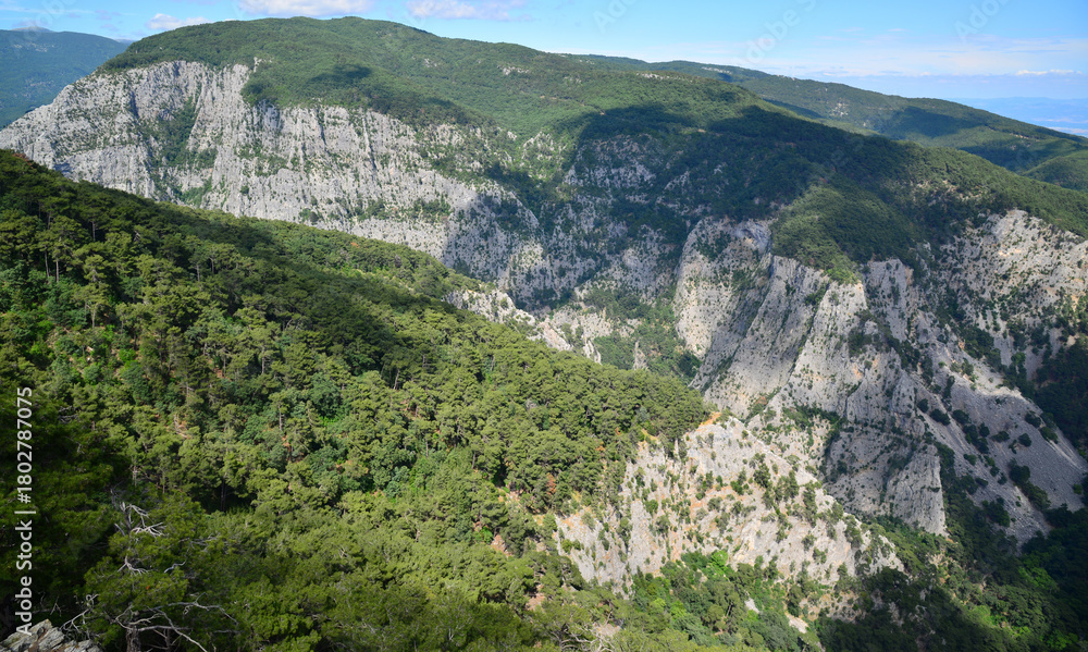 Fototapeta premium Located in the town of Altinoluk in Balikesir, Turkey, Sahindere Canyon is a magnificent canyon.