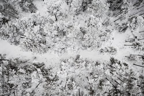 Winter road in snow covered forest, aerial view. Estonia.