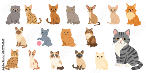 Cute cat breed set ncluding Siamese, Persian Sphynx, Bengal, tabby and Maine Coon, cat breed set illustration perfect for posters, stickers, kids learning, pet lovers and decorative designs.