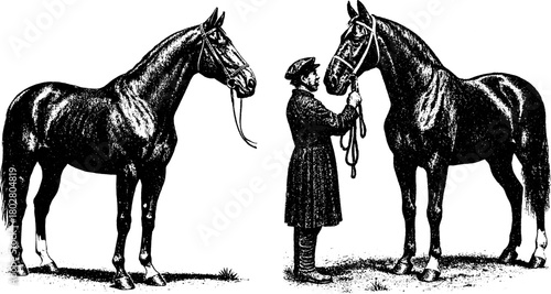 Retro Horses Poster — Vintage Xerography Engraving Style Two Standing Horses with Handler Illustration