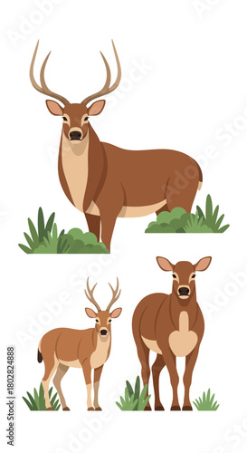 Collection of Deer in a Natural Setting.