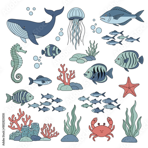 Colorful underwater sea life illustration with various marine animals.