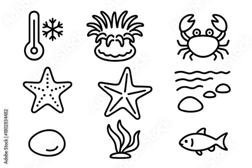 Northern Tide Pool Icons. Line style icons of Northern Tide Pool: Cold Water, Anemone, Crab, Starfish, Retreating Tide, Pebble,