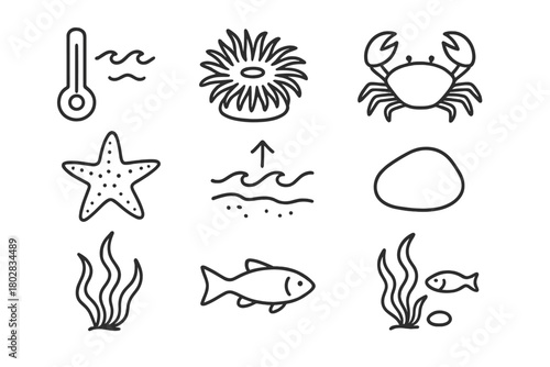 Northern Tide Pool Icons. Line style icons of Northern Tide Pool: Cold Water, Anemone, Crab, Starfish, Retreating Tide, Pebble,