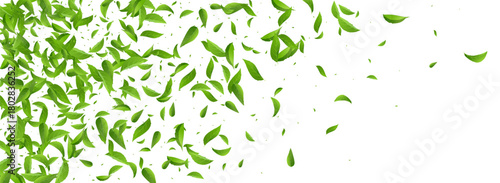 Leaves_Vortex_Flying_Vector_Background_86.eps