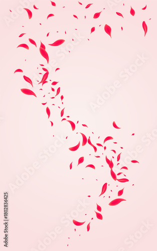 Pink_Petal_Flying_Vector_1160.eps