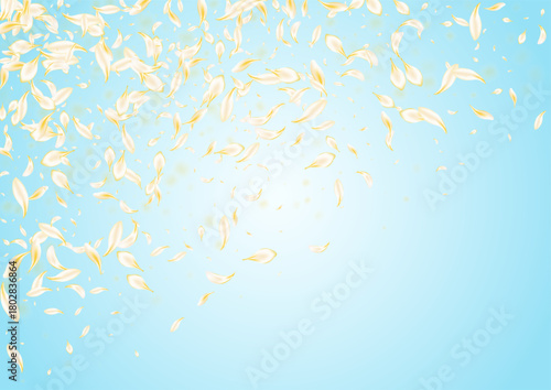 yellow_petals_blue_background_187.eps