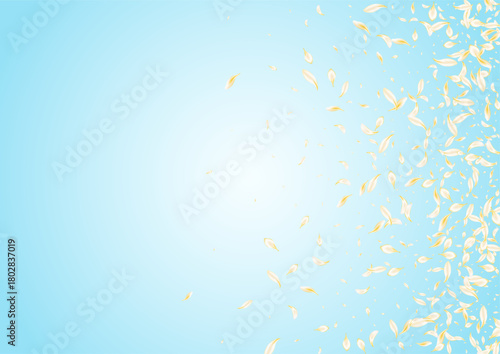 yellow_petals_blue_background_284.eps