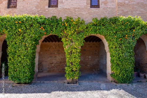 Decorated orange trees in Generalife gardens of Alhambra, Granada, Spain