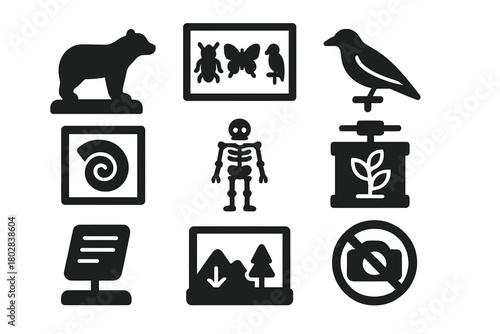 Natural History Icons. Solid style icons of Natural History Display: animal mount, insect case, bird specimen, fossil frame, bone