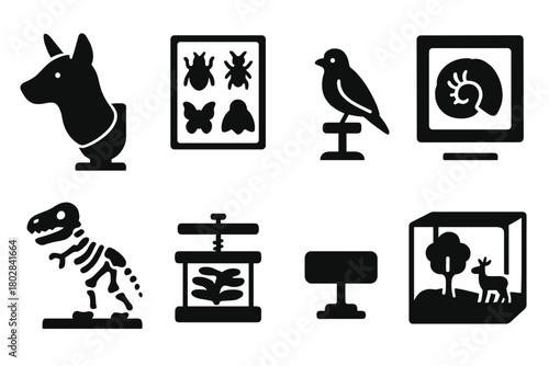 Natural History Icons. Solid style icons of Natural History Display: animal mount, insect case, bird specimen, fossil frame, bone