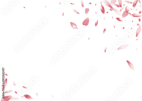 2400x170035__Pudra_sakura1_01.eps