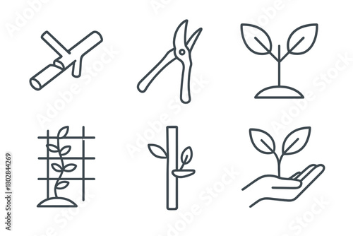 Horticulture Line Icons. Line style icons of horticulture practices: grafting branch, pruning shears, plant cutting, budding stem,
