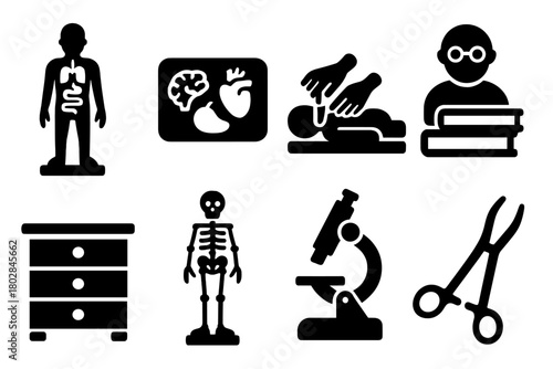 Antique Medical Icons. Solid style icons of Antique Medical Study Tools: Anatomical Model, Papier-Mâché Organs, Dissection, Study,
