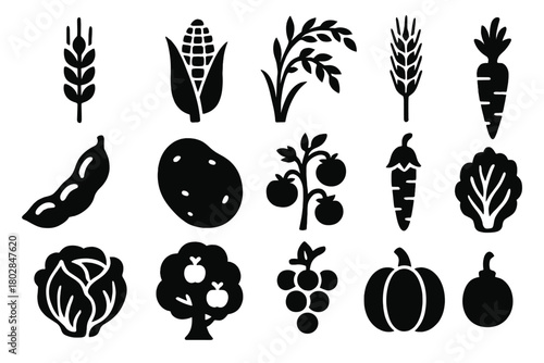 Crop Farming Icons. Solid style icons of crop farming: wheat stalk, corn cob, rice plant, barley, soybean pod, potato, tomato vine