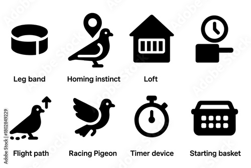 Pigeon Racing Icons. Solid style icons of Pigeon Racing: Leg Band, Homing Instinct, Loft, Clocking-In, Flight Path, Racing Pigeon,