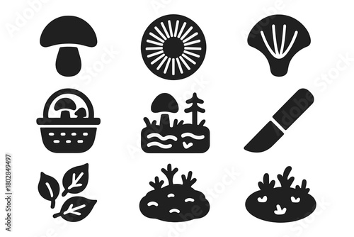 Mycology Icon Set. Solid style icons of Mycology: Mushroom, Spore Print, Gills, Foraging Basket, Forest Floor, Knife Tool, Leaf
