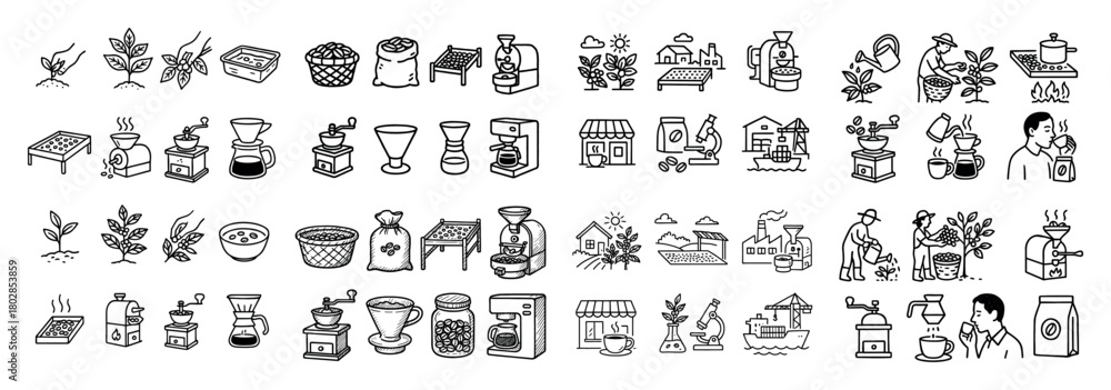 Fototapeta premium Coffee production process illustrated