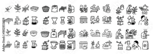 Coffee production process illustrated