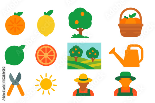 Citrus Harvest Icons. Flat vector icons of Citrus Grove: orange, lemon, tree, harvest basket, lime, grapefruit, tangerine, orchard