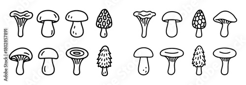 Mushroom Doodle Icons