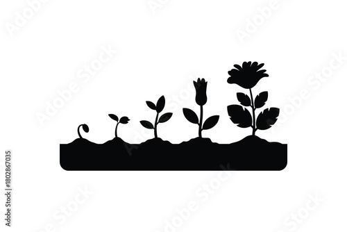 Plant growth stages silhouette vector illustration