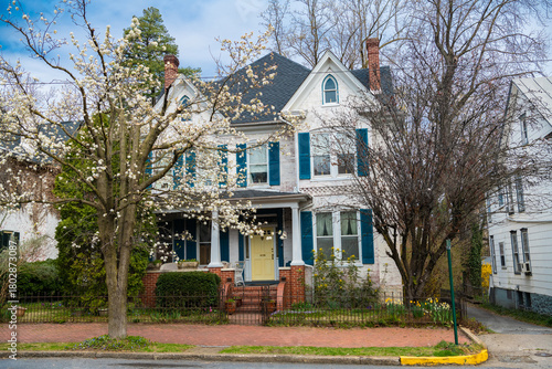 Fototapeta Naklejka Na Ścianę i Meble -  street in the historic town of Martinsburg, West Virginia. Ancient architecture of small multi-colored buildings in the colonial style.